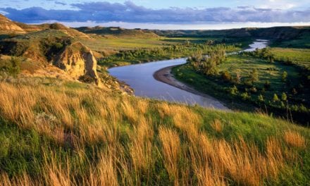 Theodore Roosevelt National Park