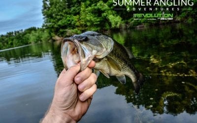 This Week on The Revolution with Jim and Trav: The Perfect Shot