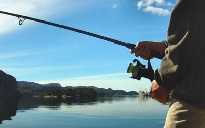 Top 5 Fishing Knots to Memorize