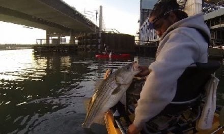 Urban Striper Smackdown