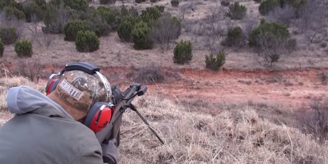 Video: Barrett .50 Cal vs. Feral Hog