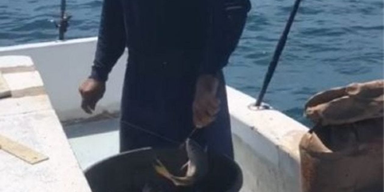 Video: Fishing Isn’t Supposed to Be This Easy