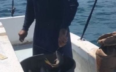 Video: Fishing Isn’t Supposed to Be This Easy