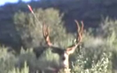 Video: This Bowhunter’s Missed Shot Will Blow Your Mind