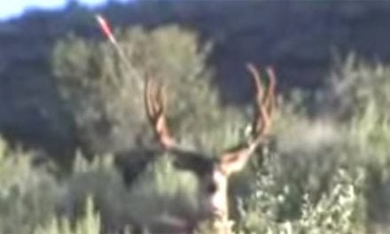 Video: This Bowhunter’s Missed Shot Will Blow Your Mind