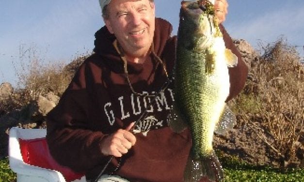 Want to Catch More Bass? Here Are ‘Secrets’ You Should Know About the Bite