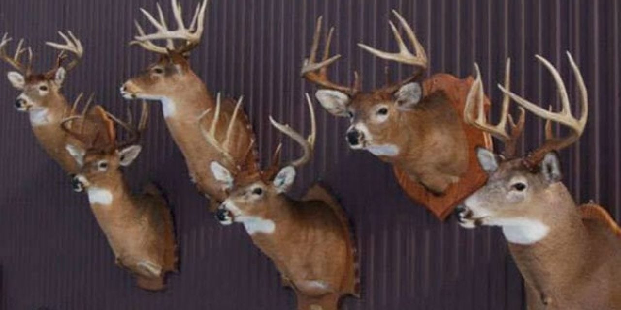 #WhitetailWednesday: 5 Deer Season Goals That Don’t Involve a Successful Harvest