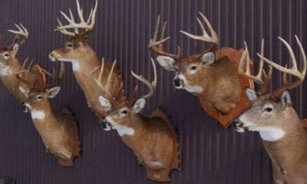 #WhitetailWednesday: 5 Deer Season Goals That Don’t Involve a Successful Harvest