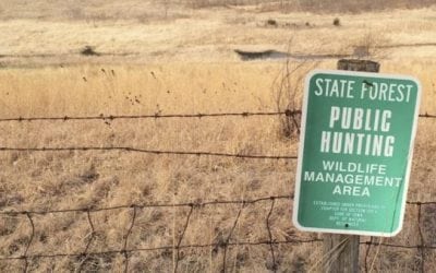 Why I’m Deer Hunting Public Land This Year