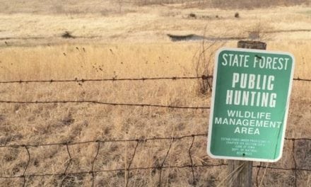 Why I’m Deer Hunting Public Land This Year