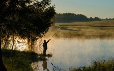 You Could Win a Free Abu Garcia Revo Reel!