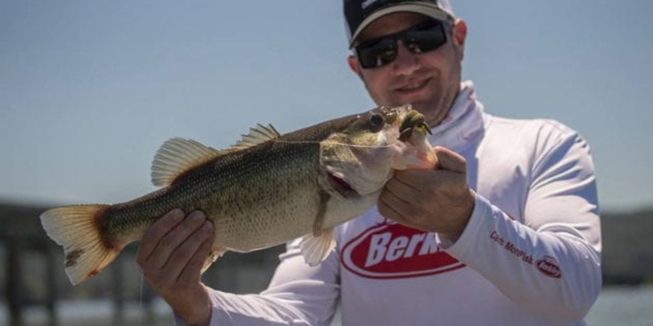 10 New Baits for This Year That Will Open Your Eyes
