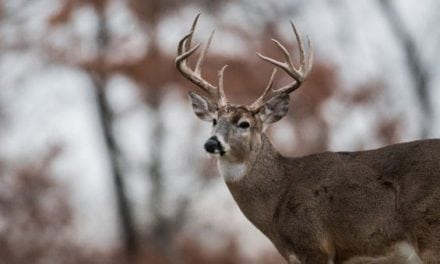 10 Things That Go Through a Deer Hunter’s Mind as the Season Approaches
