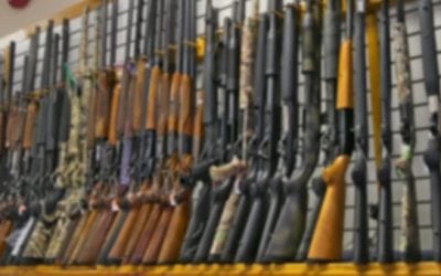 4 Youth Hunting Rifles Perfect for Any Youngster Just Starting Out