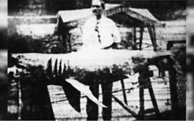 5 of the Most Famous Shark Attacks in Human History