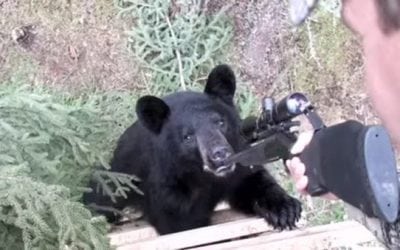 7 Photos That Will Make Any Hunter Cringe