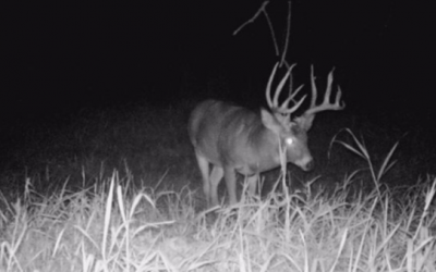 A Late Season Muzzleloader Hunt