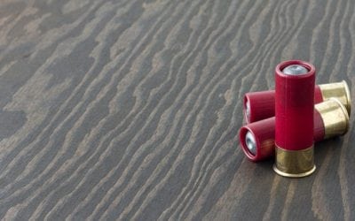 Are You a Shotgun Big Game Hunter? Slug It Out With These 5 Hard Hitters