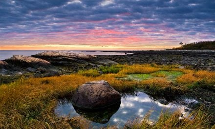 Beaches, Shores And Coastlines Assignment Winner Harry Lichtman