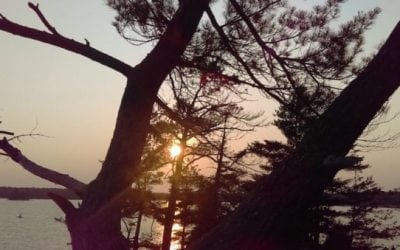 Camping at Killbear Provincial Park: 8 Things You Need to Know