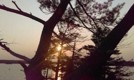 Camping at Killbear Provincial Park: 8 Things You Need to Know