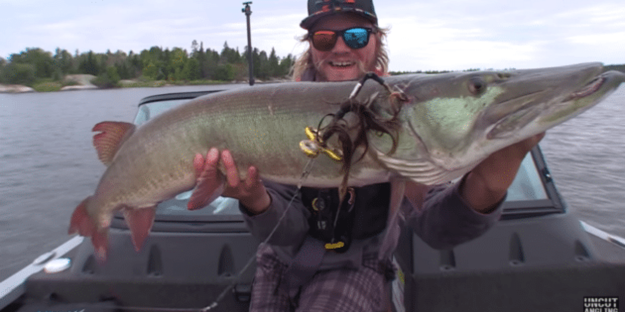 Catch a Musky With a Homemade Fidget Spinner Lure