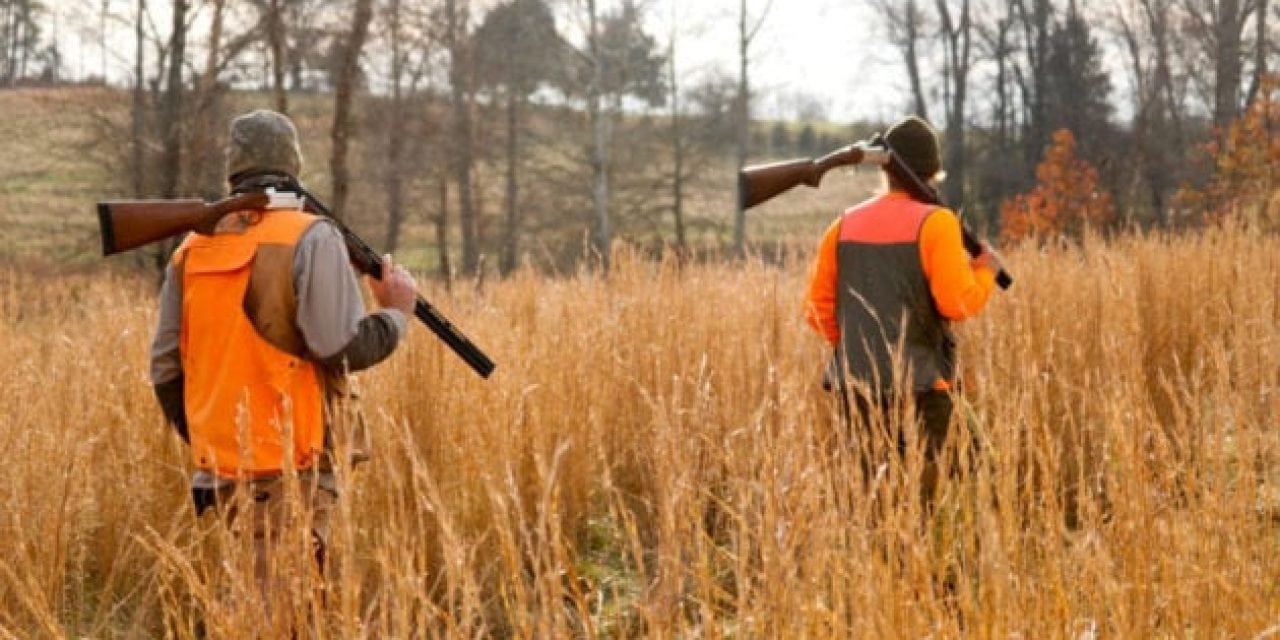 Conservation in Peril as Hunter Numbers Decline