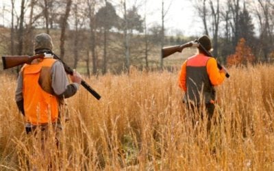 Conservation in Peril as Hunter Numbers Decline