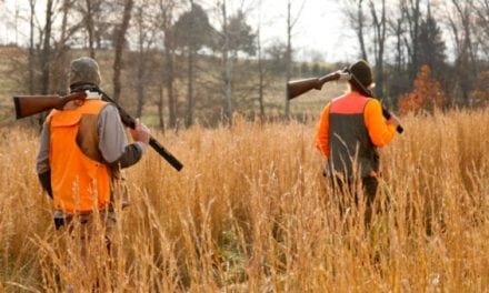 Conservation in Peril as Hunter Numbers Decline