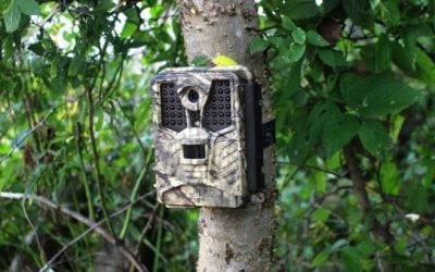 Covert’s New ICE Cam is Effective and Affordable