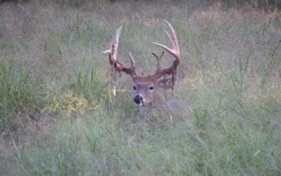 Don’t Make These Mistakes in the Early Part of Deer Season