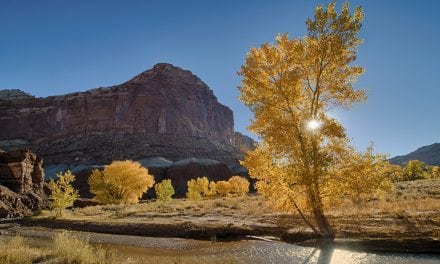 Fall Color Photography