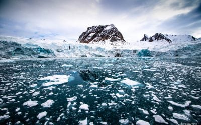 Go Wide Up Close Assignment Winner Elissa Title