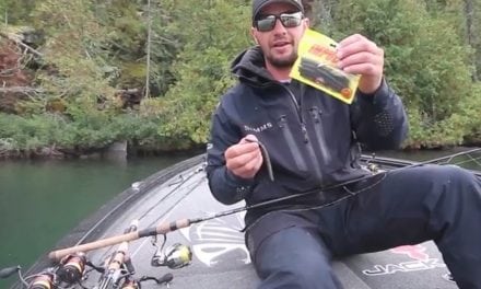 Gussy’s KEY FLW Tour Bait – Neko Rig