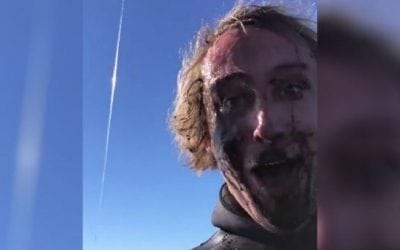 Here’s What Happens When You Boat an Angry Squid