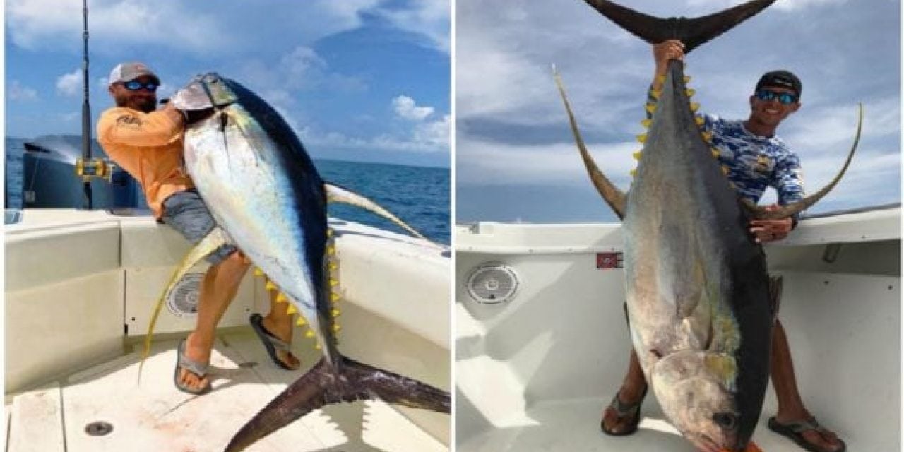 How Does Voodoo Fishing Charters Get These Big Yellowfin Tuna in the Boat?