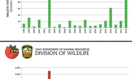 Lake Erie Western Basin Walleye, Yellow Perch Numbers Strong