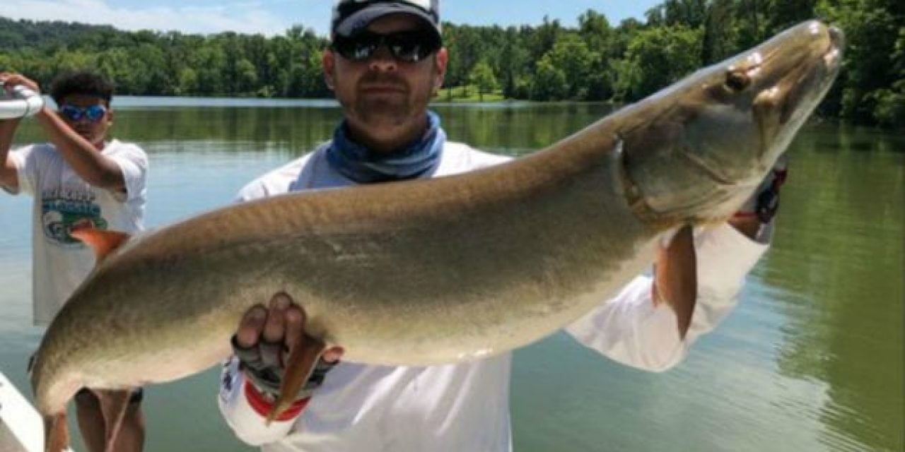 Musky Angler Breaks Own Record, But Releases Fish Instead