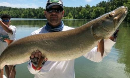 Musky Angler Breaks Own Record, But Releases Fish Instead