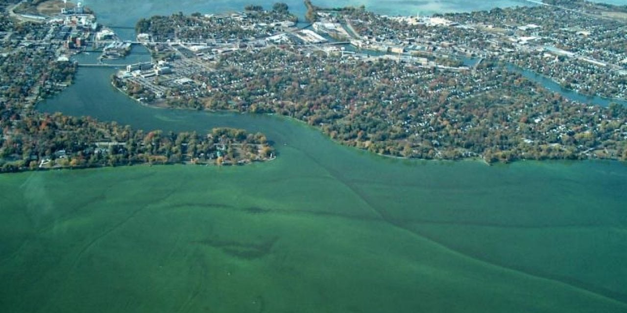 National Professional Anglers Association Testifies at Senate Hearing on Harmful Algae Blooms