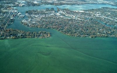 National Professional Anglers Association Testifies at Senate Hearing on Harmful Algae Blooms