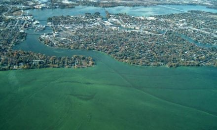 National Professional Anglers Association Testifies at Senate Hearing on Harmful Algae Blooms