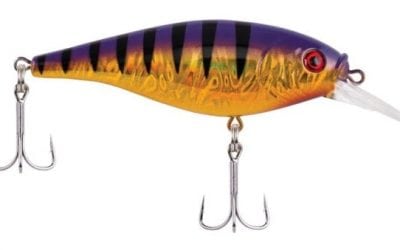 New Gear Guide: Berkley Flicker Shad Shallow
