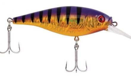 New Gear Guide: Berkley Flicker Shad Shallow