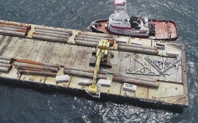 New York: Artificial Reef Program Expansion