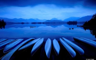 Photo Of The Day By Gary Paige