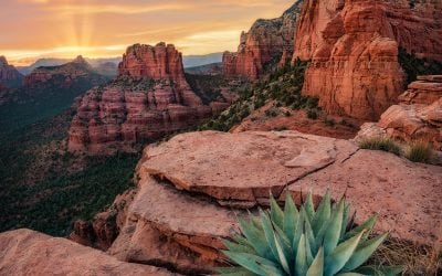 Photo Of The Day By Michael Wilson