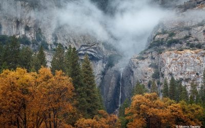 Photo Of The Day By Morris Swartz