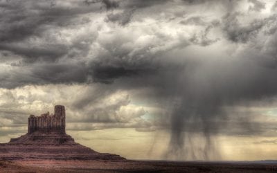 Photo Of The Day By Terry Shapiro