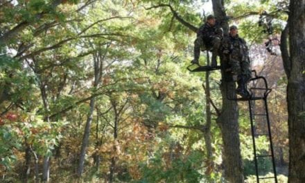 Picking the Right Place to Put Your Stand This Deer Season